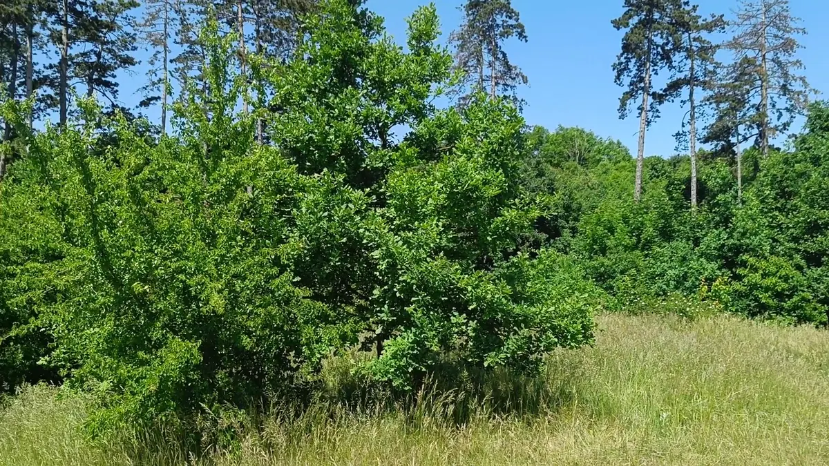 Interior at Prokop Valley Prague — travel photo