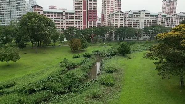 Interior at Bishan-Ang Mo Kio Park Singapore — travel photo