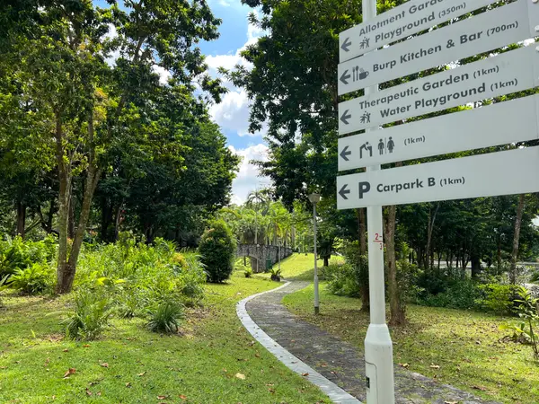 Details at Bishan-Ang Mo Kio Park Singapore — travel photo