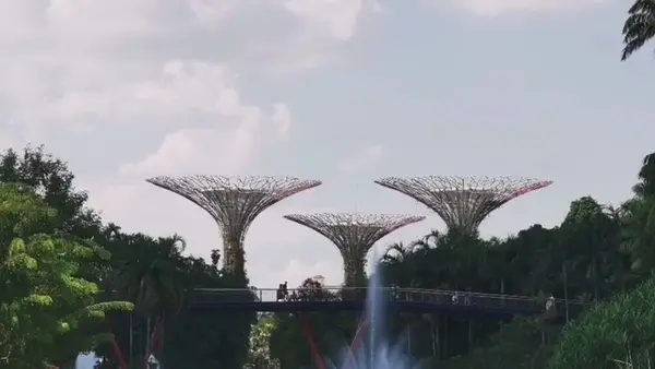Interior at Gardens by the Bay Singapore — travel photo