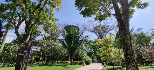 Details at Gardens by the Bay Singapore — travel photo