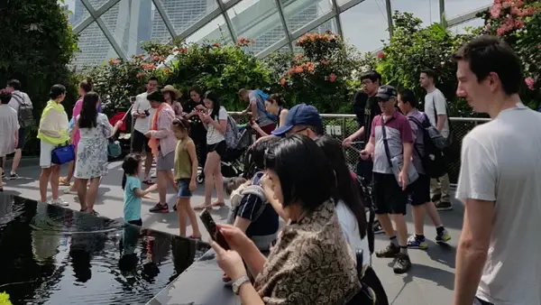 Atmosphere at Gardens by the Bay Singapore — travel photo