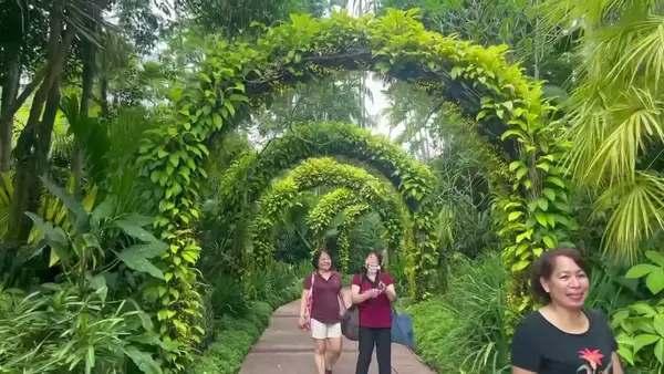 Interior at Singapore Botanic Gardens Singapore — travel photo