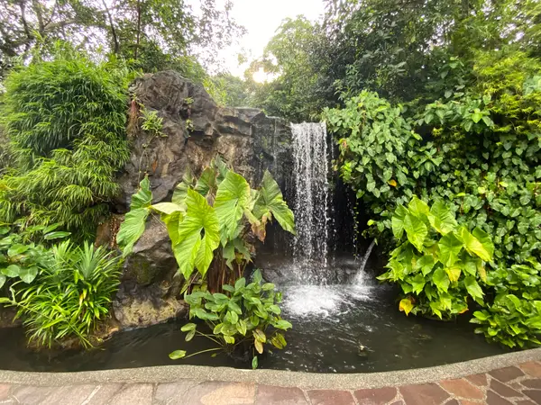 Atmosphere at Singapore Botanic Gardens Singapore — travel photo