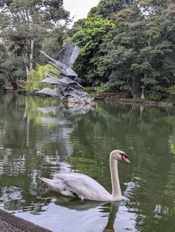Around the area at Singapore Botanic Gardens Singapore — travel photo