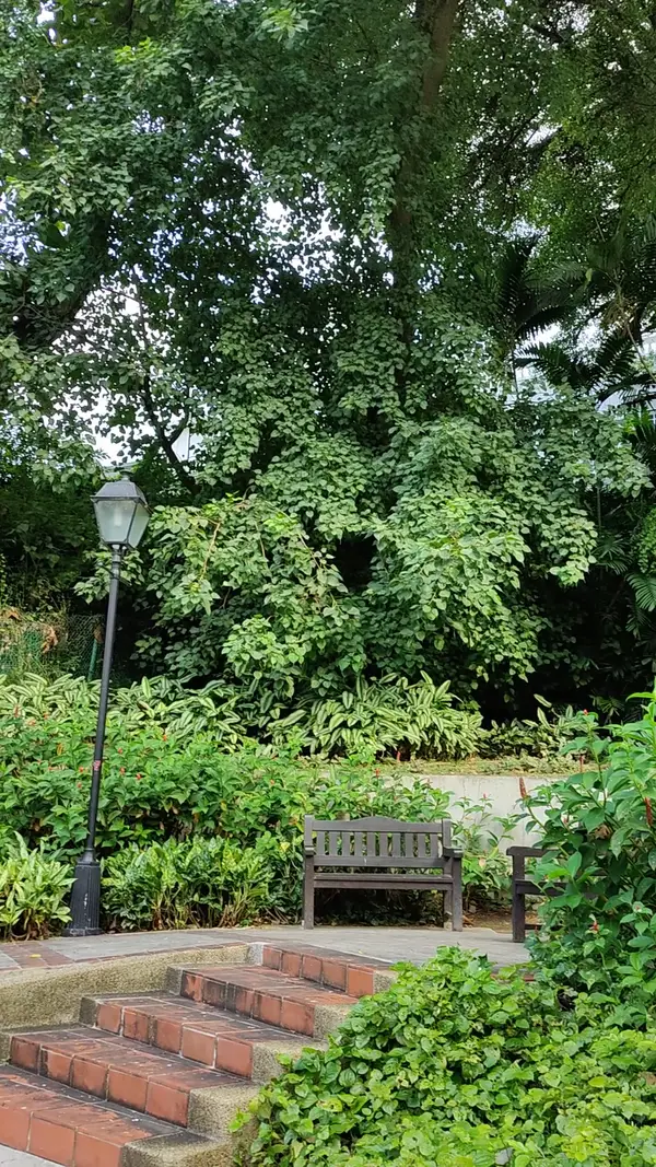 Interior at Ann Siang Hill Park Singapore — travel photo