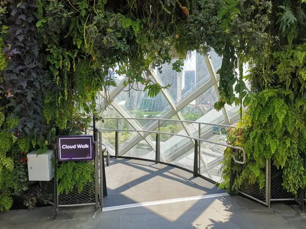 Atmosphere at Cloud Forest Singapore — travel photo
