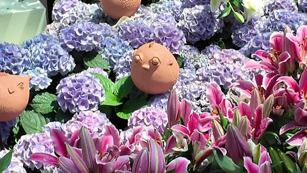 Atmosphere at Flower Dome Singapore — travel photo