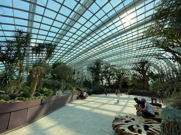 Around the area at Flower Dome Singapore — travel photo