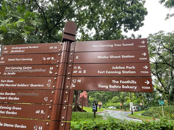 Details at Fort Canning Tree Tunnel Singapore — travel photo