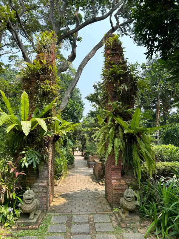 Around the area at Fort Canning Tree Tunnel Singapore — travel photo