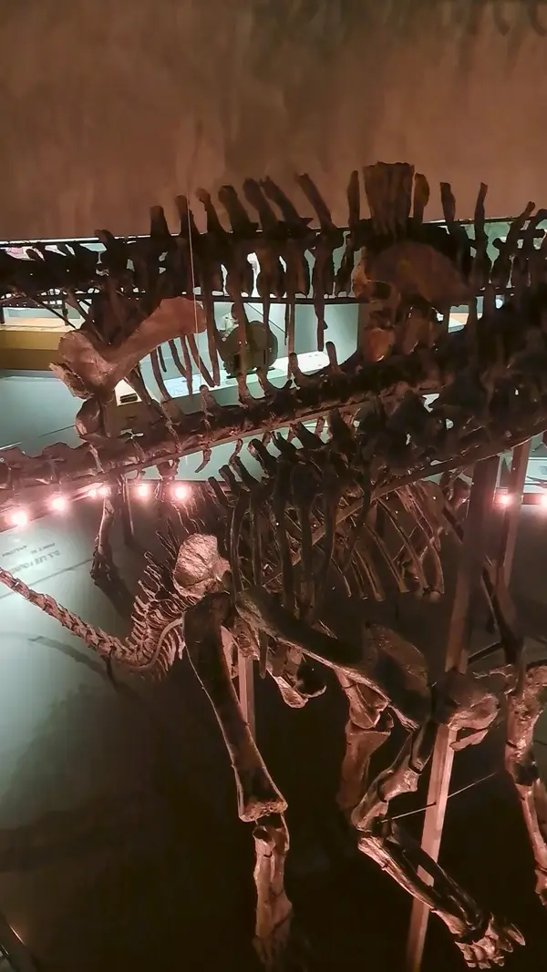 Interior at Lee Kong Chian Natural History Museum, Singapore Singapore — travel photo