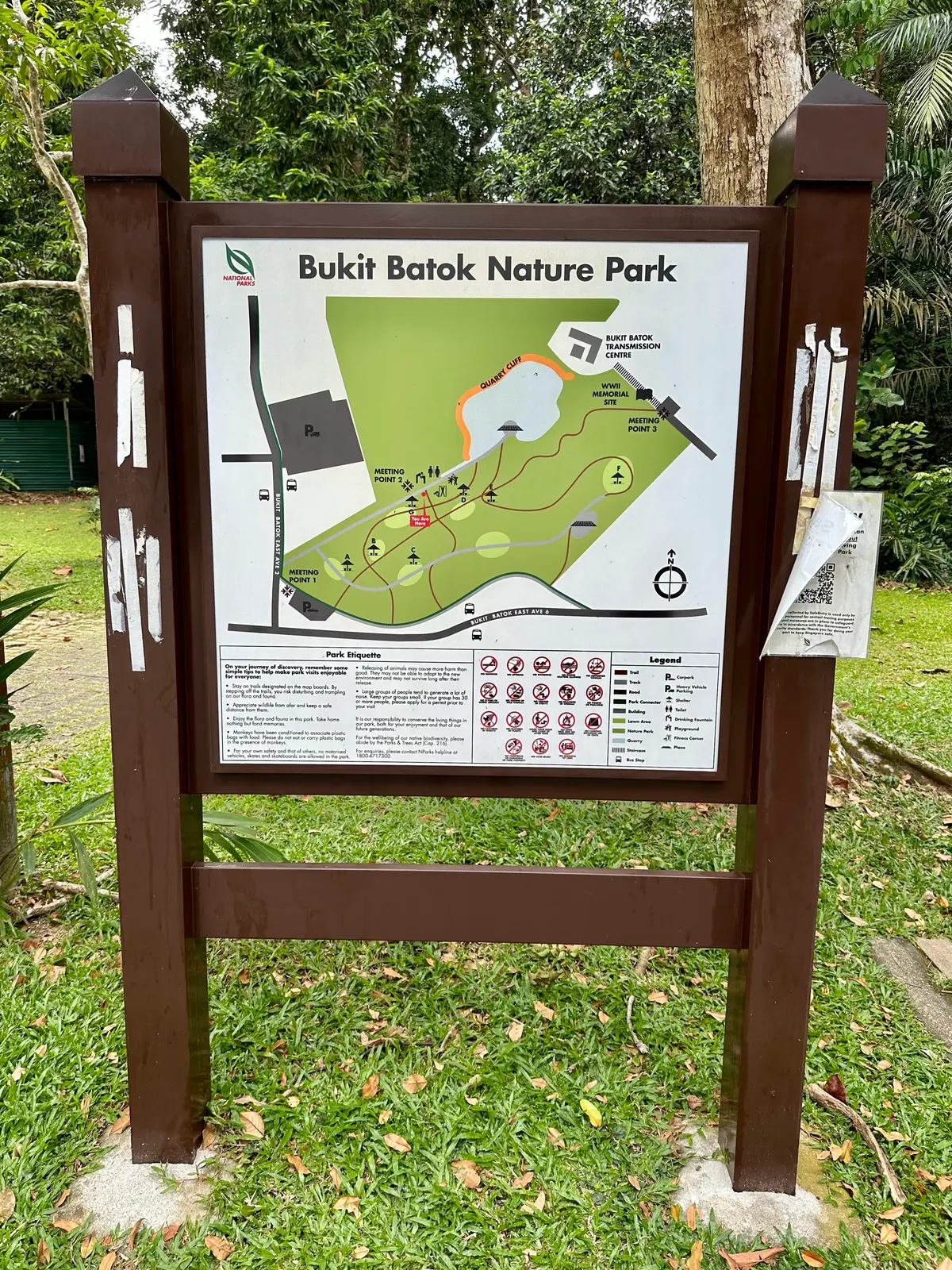 Details at Bukit Batok Nature Park Singapore — travel photo