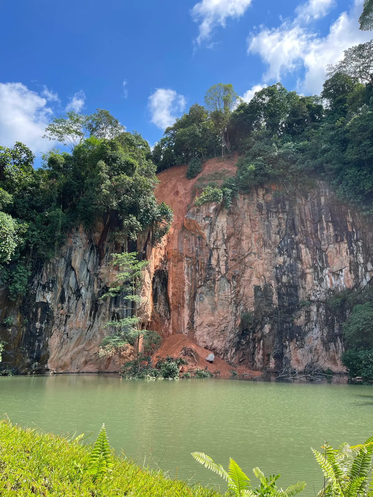 Bukit Batok Nature Park