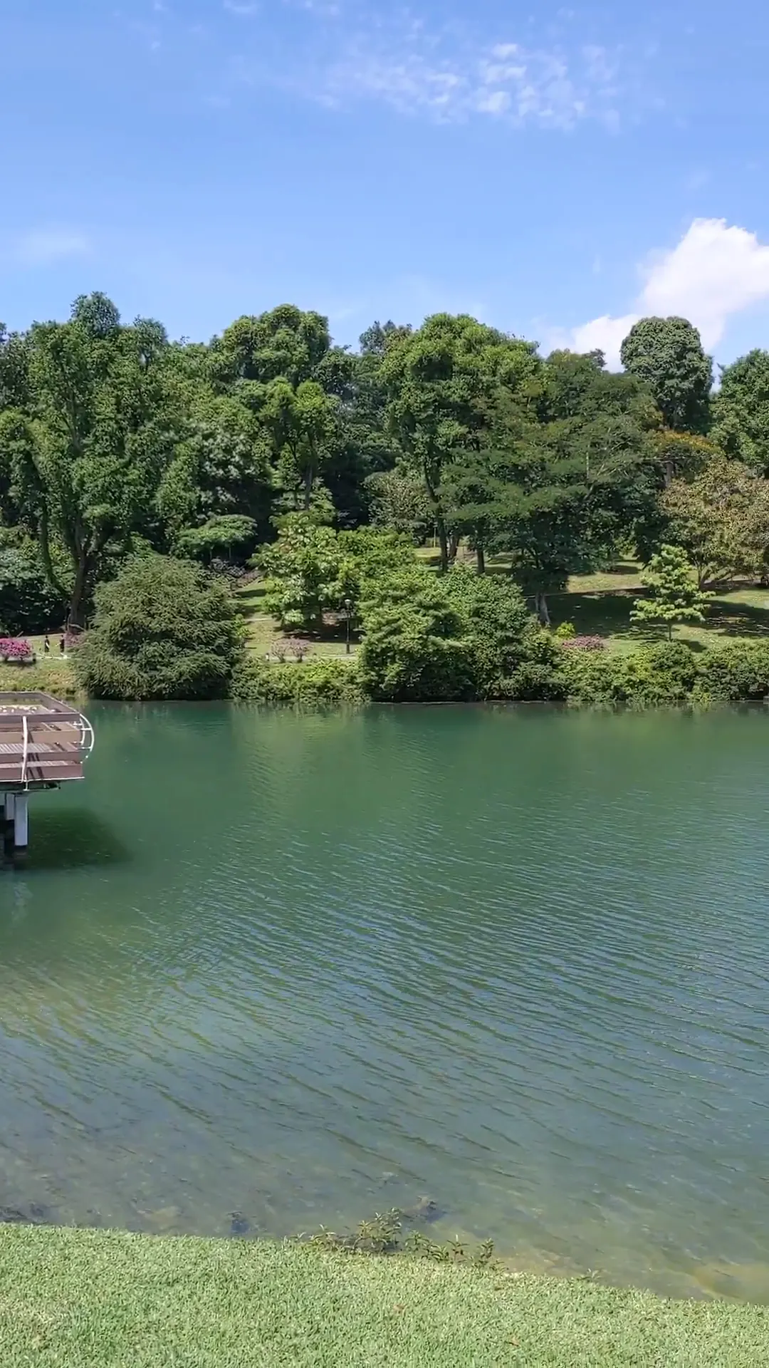 Interior at MacRitchie Reservoir Park Singapore — travel photo