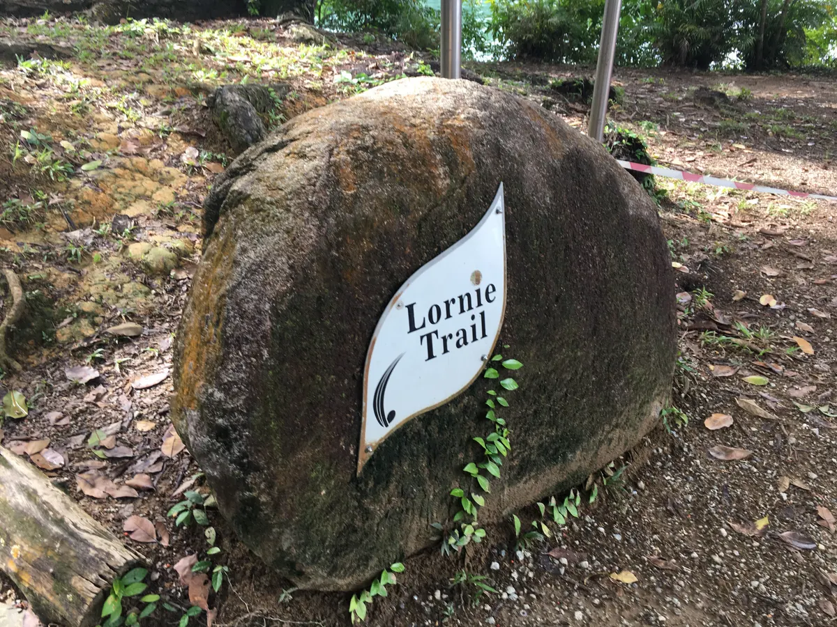 Around the area at MacRitchie Reservoir Park Singapore — travel photo
