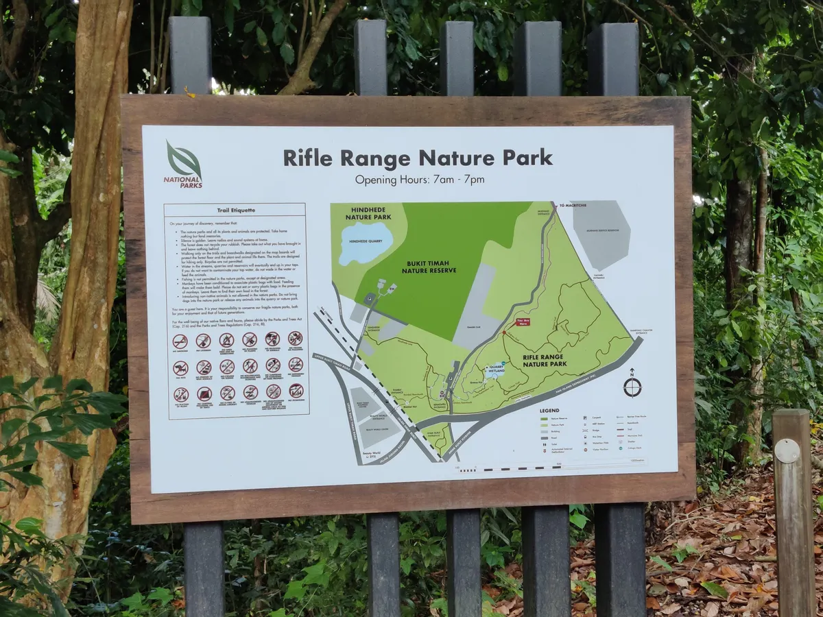 Details at Rifle Range Nature Park Singapore — travel photo
