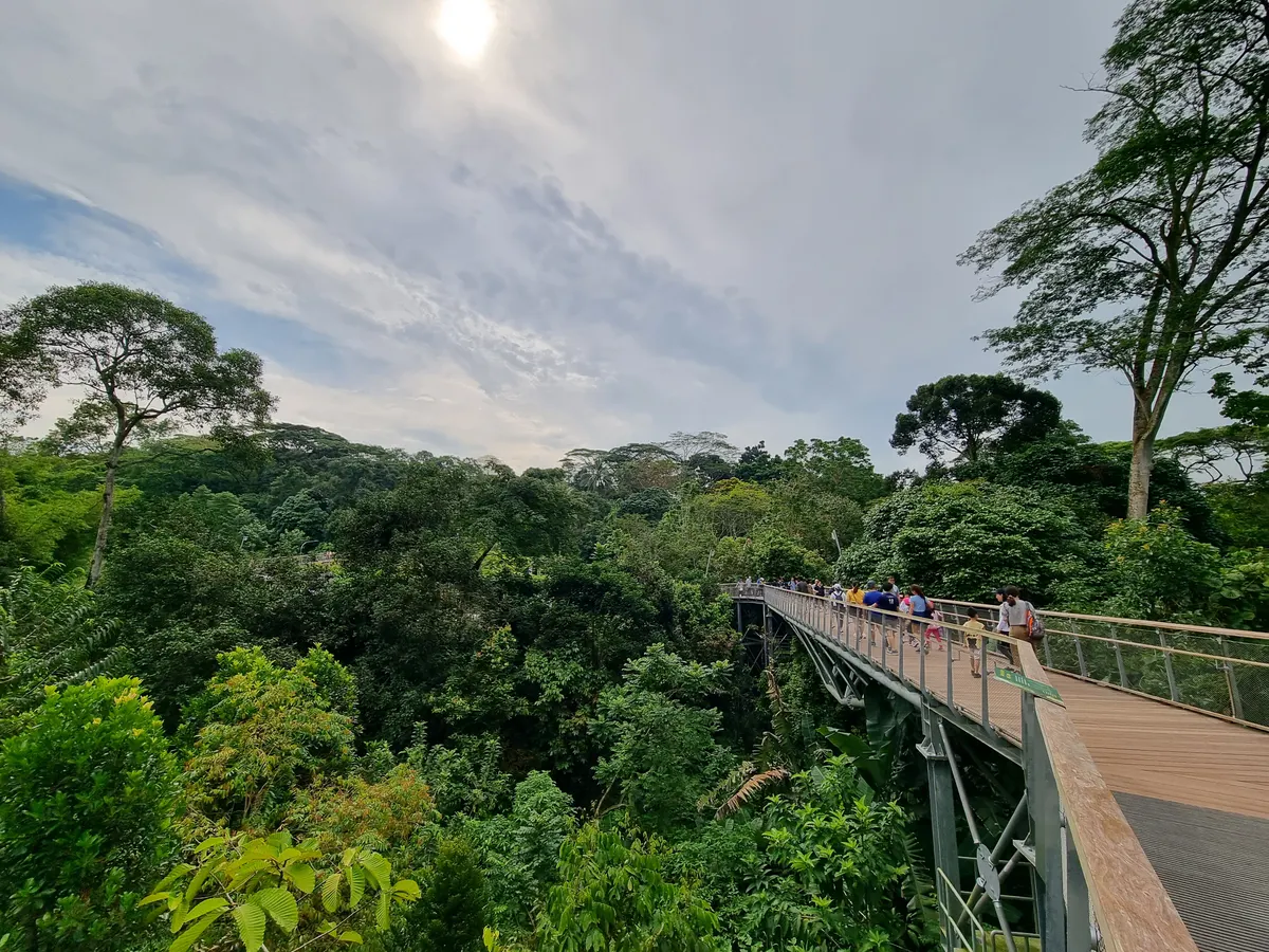 Atmosphere at Rifle Range Nature Park Singapore — travel photo