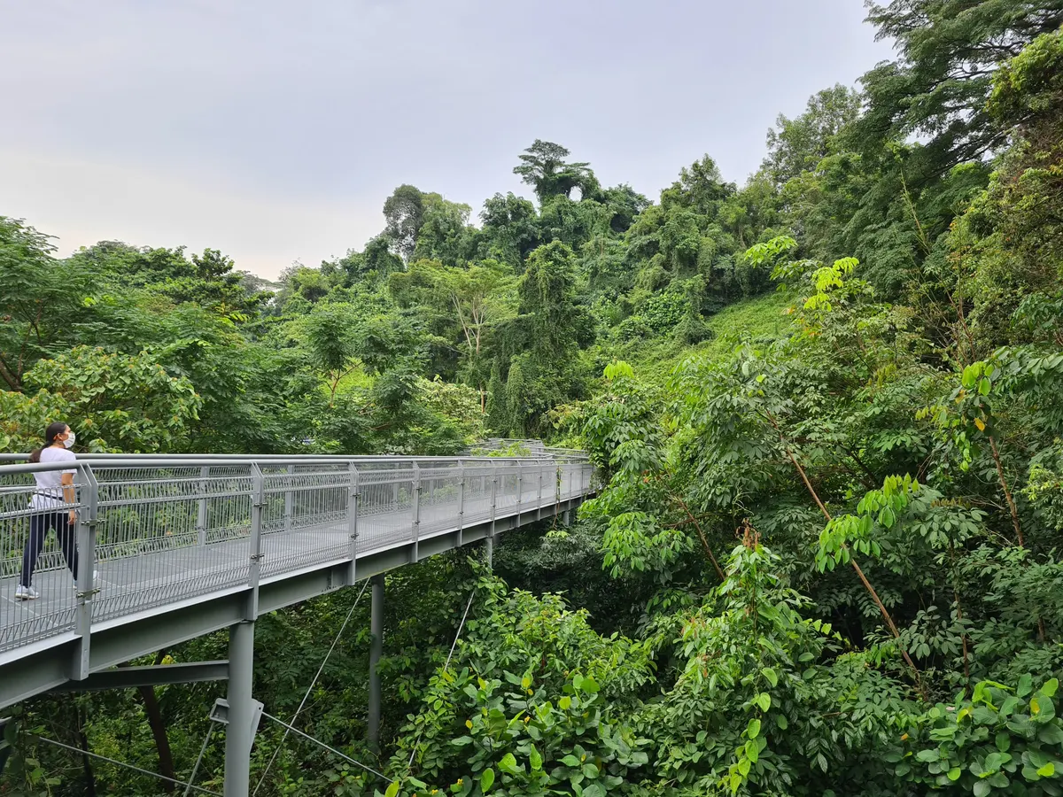 Southern Ridges