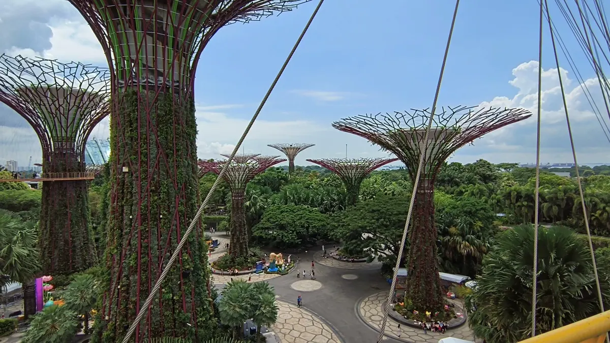 Interior at Supertree Grove Singapore — travel photo