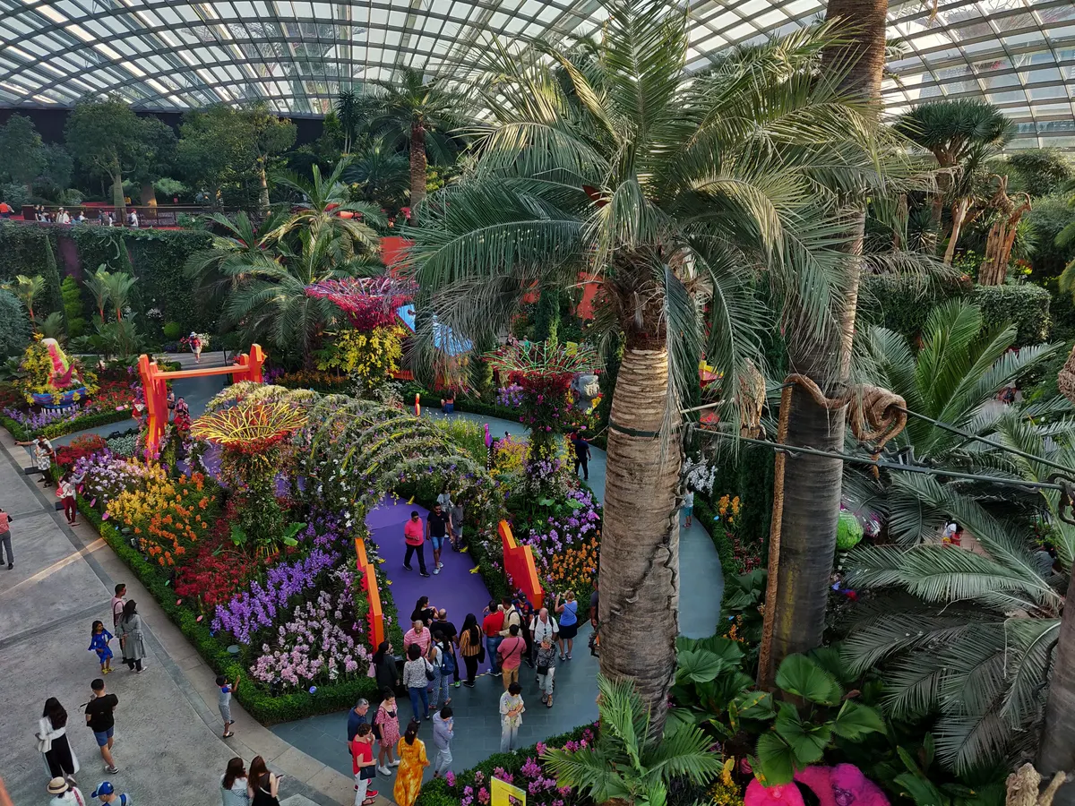 Around the area at Supertree Grove Singapore — travel photo