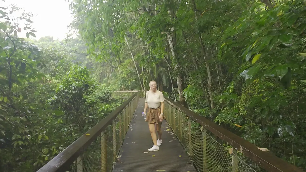 Interior at Windsor Nature Park Singapore — travel photo
