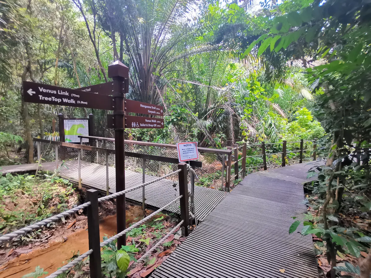 Details at Windsor Nature Park Singapore — travel photo