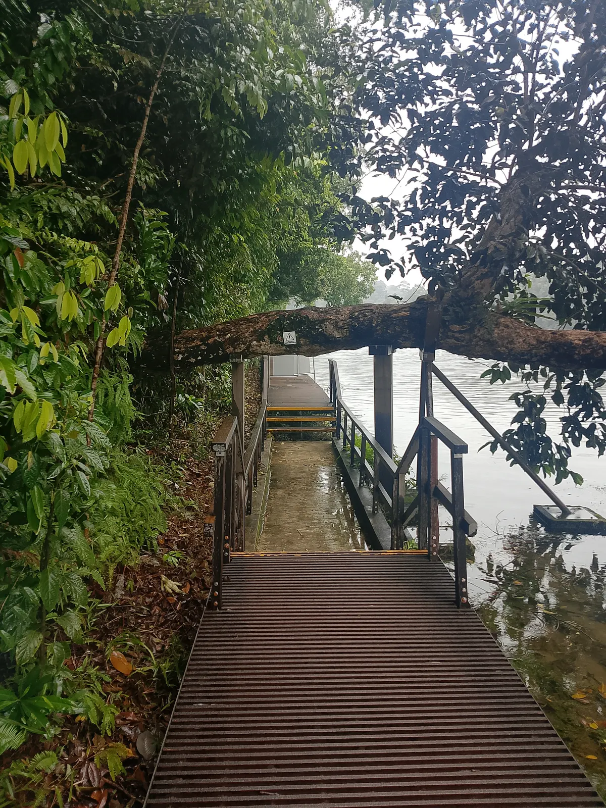 Atmosphere at Windsor Nature Park Singapore — travel photo