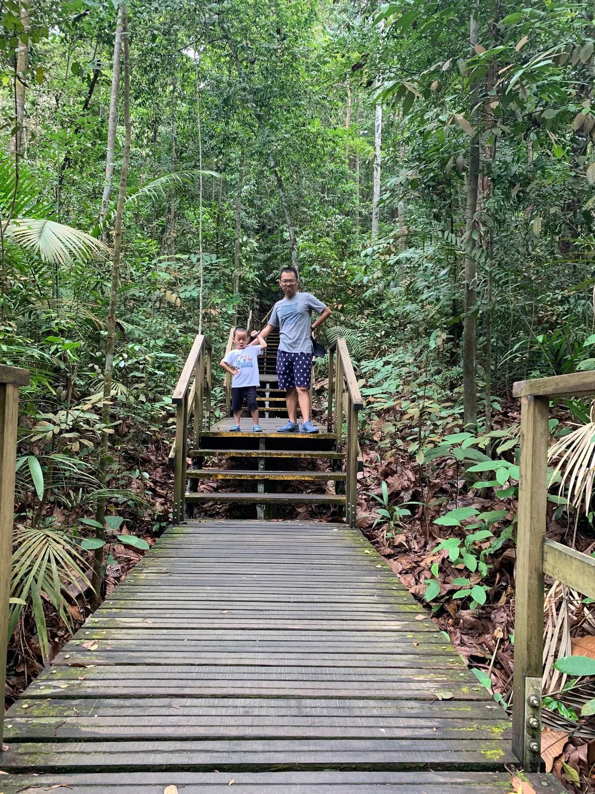 Around the area at Windsor Nature Park Singapore — travel photo