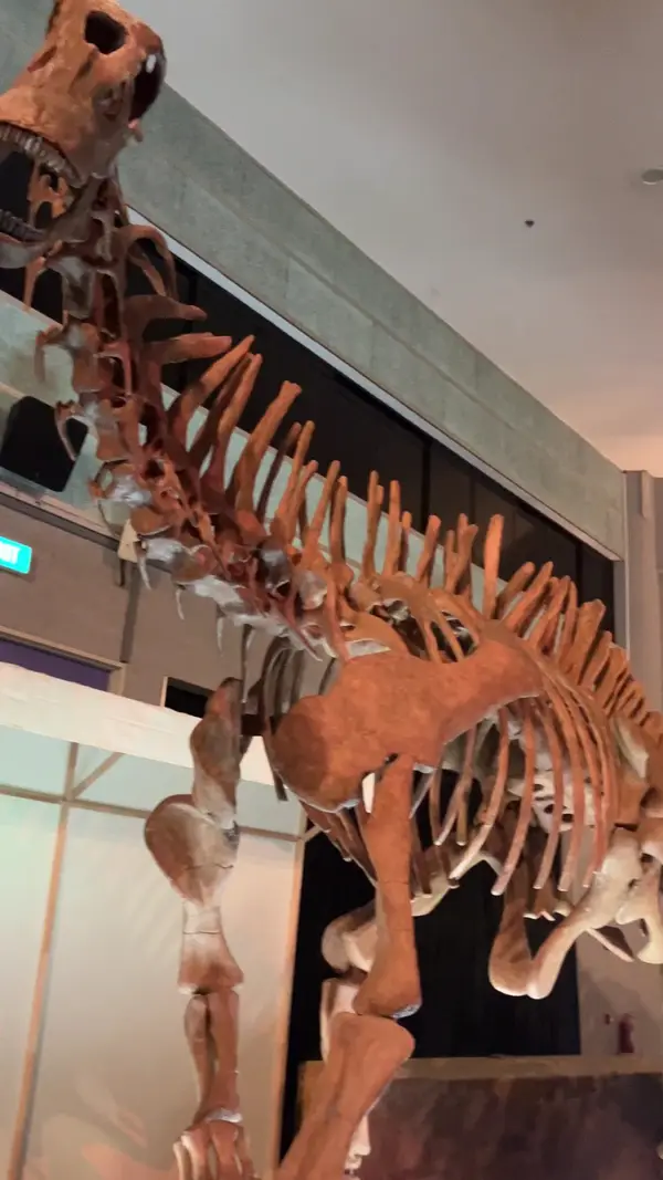 Interior at Science Centre Singapore Singapore — travel photo