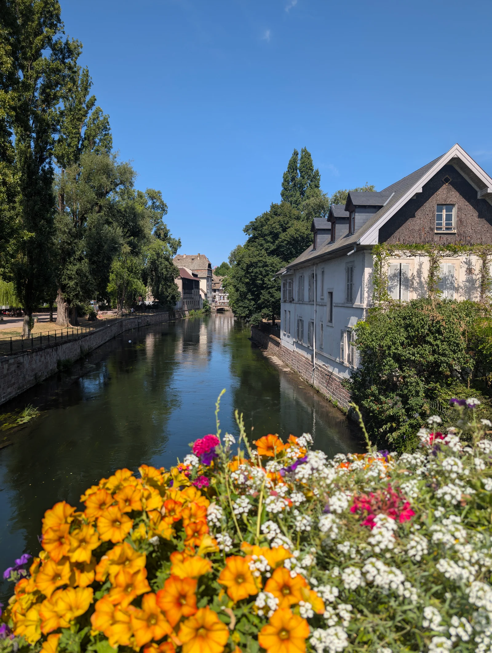 Kids activities at Barrage Vauban Strasbourg — family travel photo
