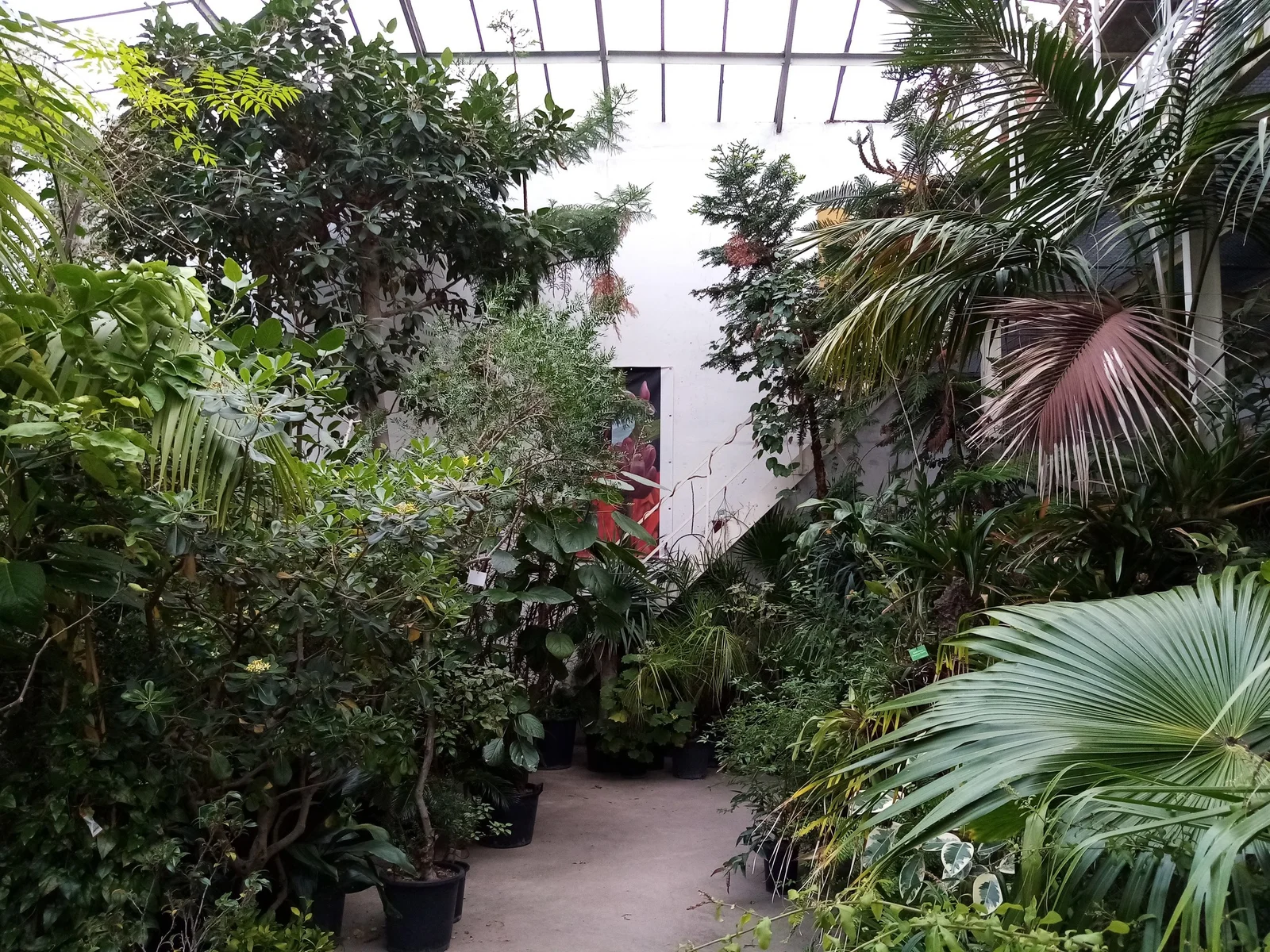 Outdoor views at Jardin Botanique de l'université de Strasbourg Strasbourg — family travel photo