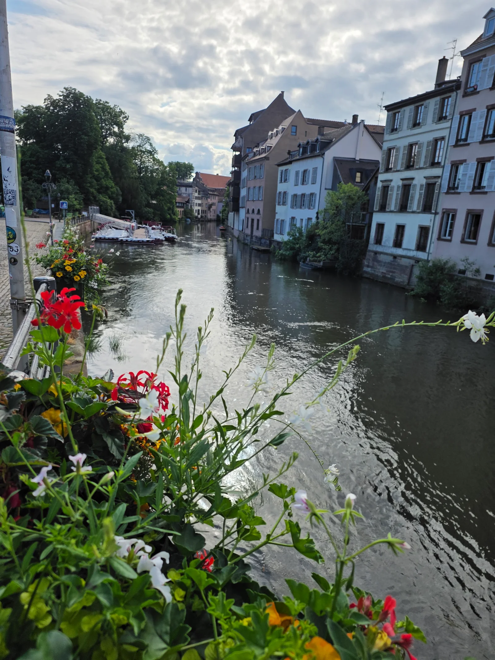 Outdoor views at Pont du Faisan Strasbourg — family travel photo