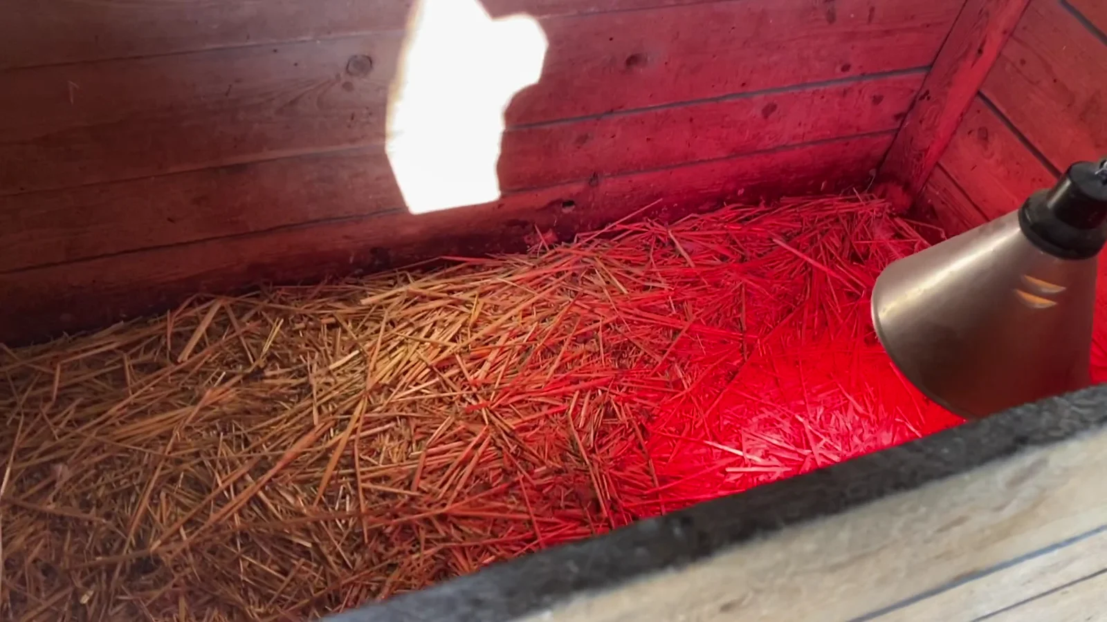 Kids activities at Parc animalier Friedel Strasbourg — family travel photo