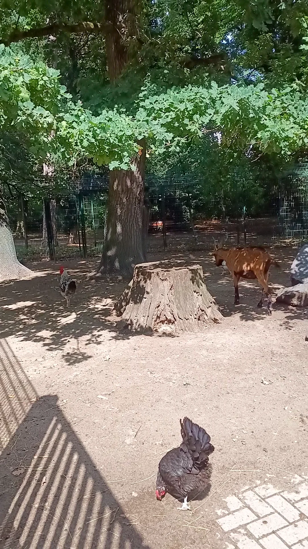 Family areas at Parc animalier Friedel Strasbourg — family travel photo