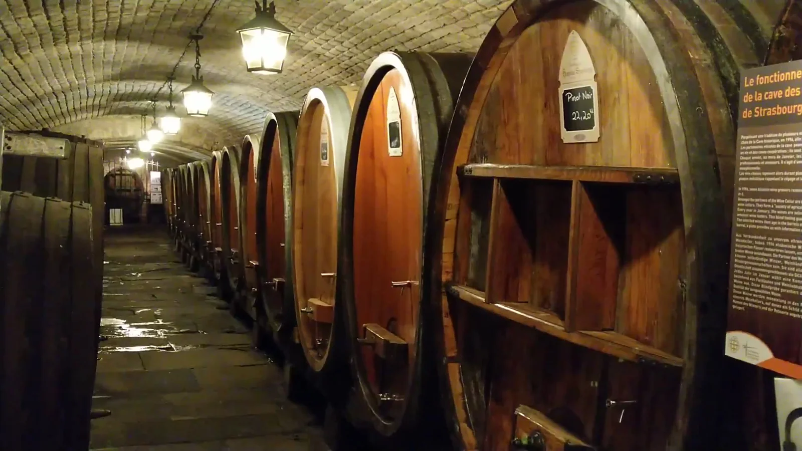 Family areas at Cave Historique des Hospices de Strasbourg Strasbourg — family travel photo