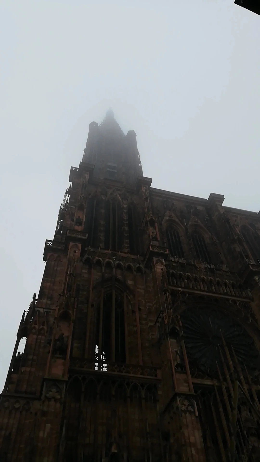Family areas at Grande-Île de Strasbourg Strasbourg — family travel photo