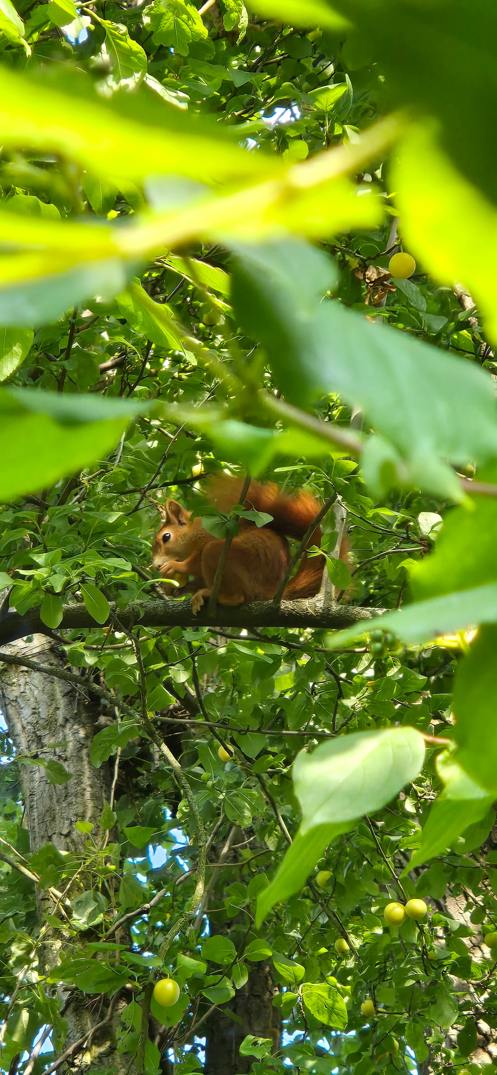 Kids activities at Parc naturel urbain Ill Bruche Strasbourg — family travel photo