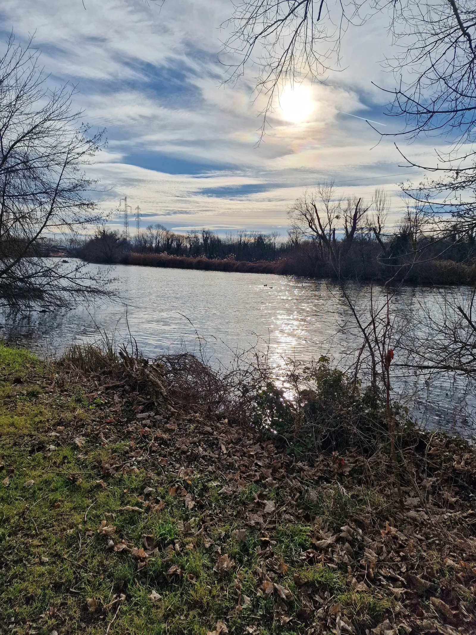 Outdoor views at Parc naturel urbain Ill Bruche Strasbourg — family travel photo