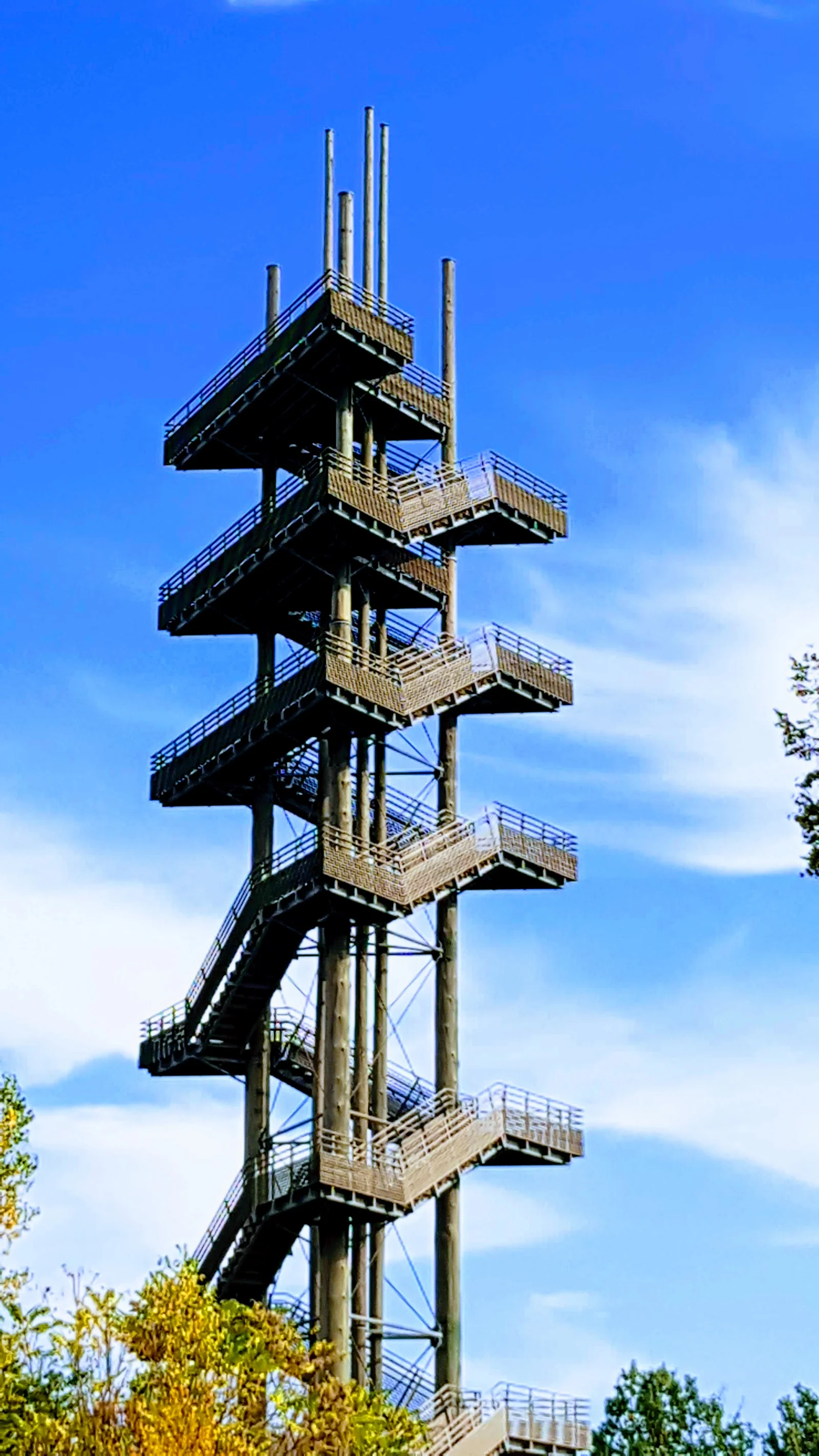 Weißtannenturm
