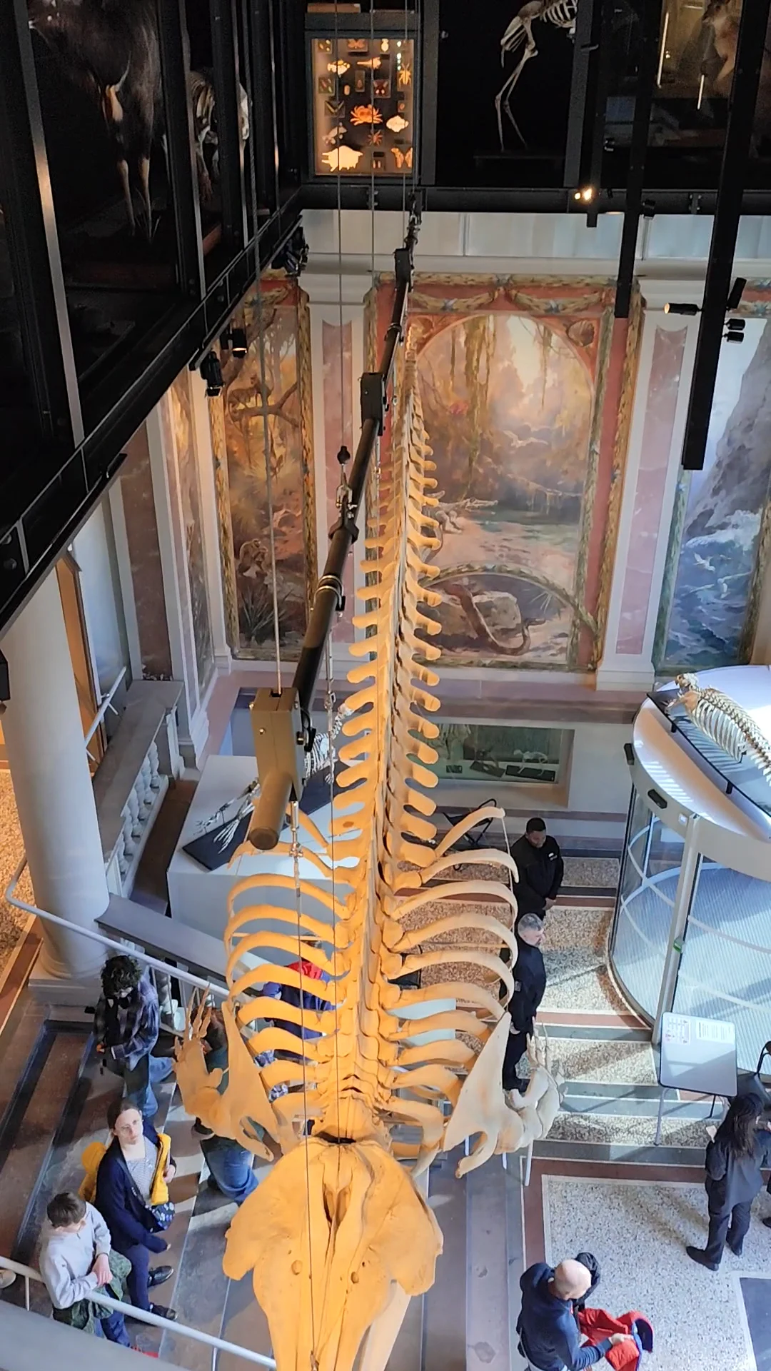 Family areas at Musée zoologique de Strasbourg Strasbourg — family travel photo