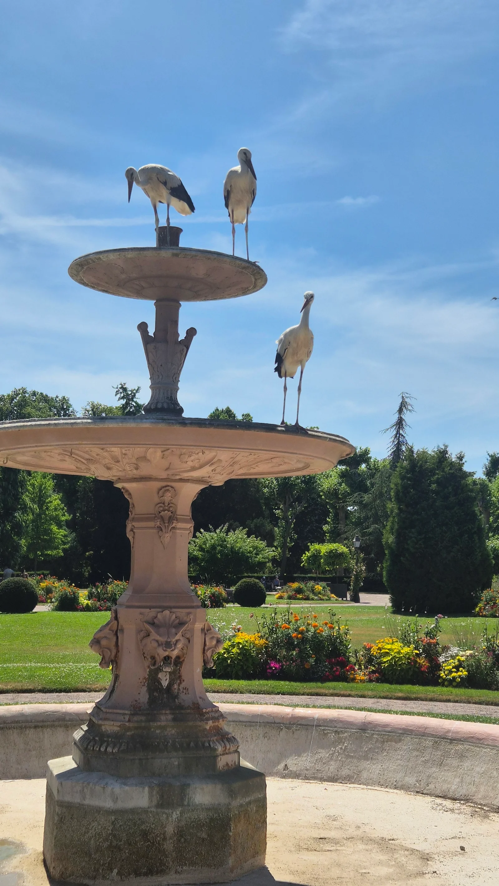 Kids activities at Parc de l'Orangerie Strasbourg — family travel photo