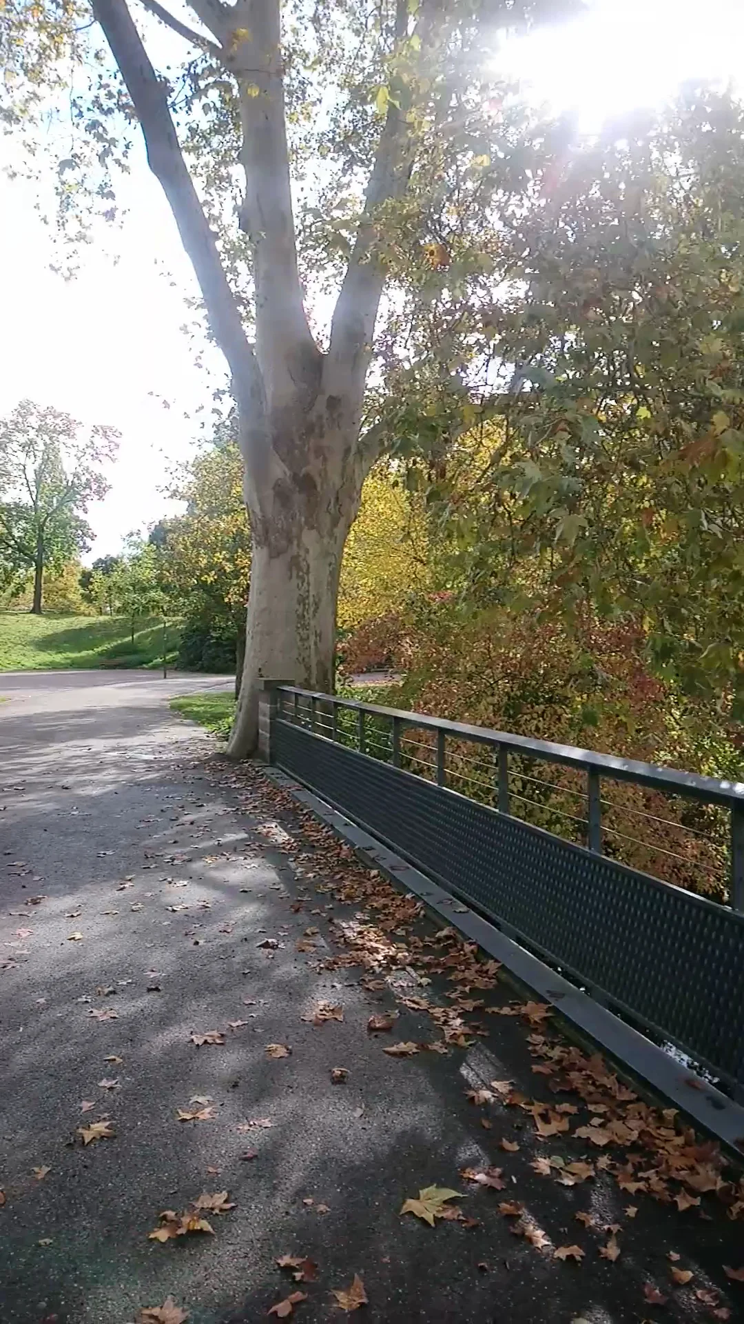 Family areas at Parc de la Citadelle Strasbourg — family travel photo