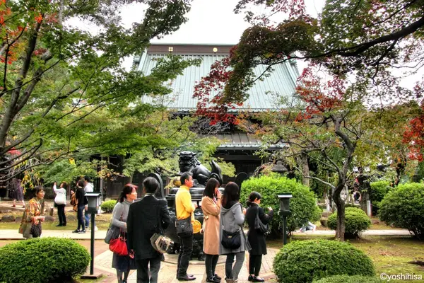 Around the area at Gōtoku-ji (chat) Tokyo — travel photo