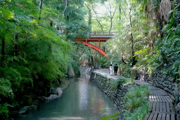 Around the area at Todoroki Ravine Park Tokyo — travel photo