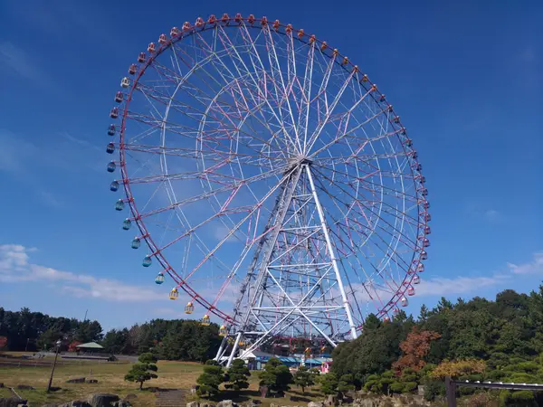 Around the area at Kasai Rinkai Park Tokyo — travel photo