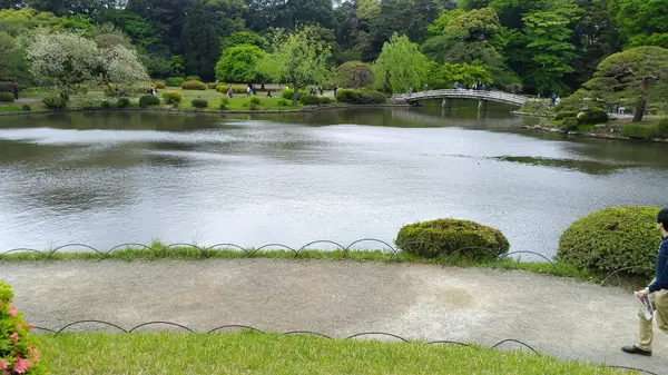 Around the area at Shinjuku Gyoen National Garden Tokyo — travel photo