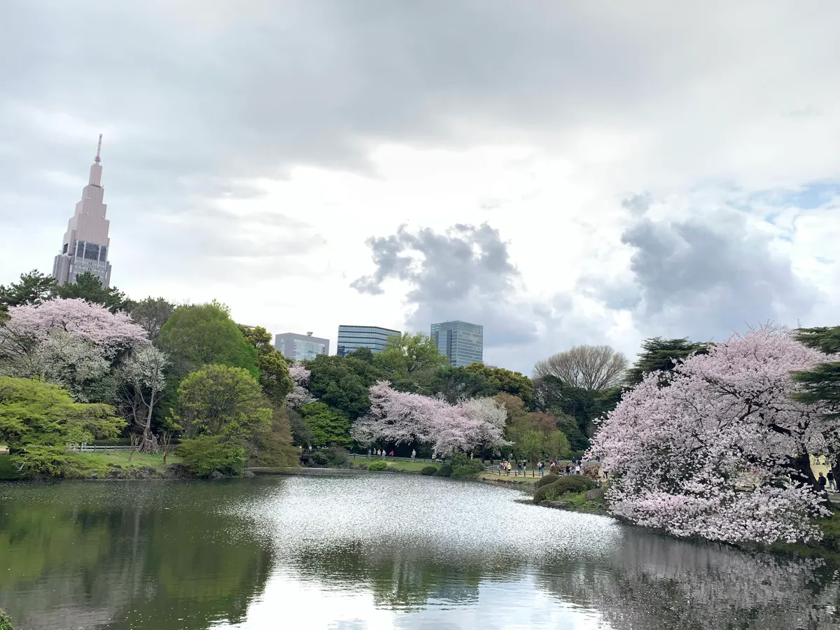 Shinjuku Gyoen National Garden