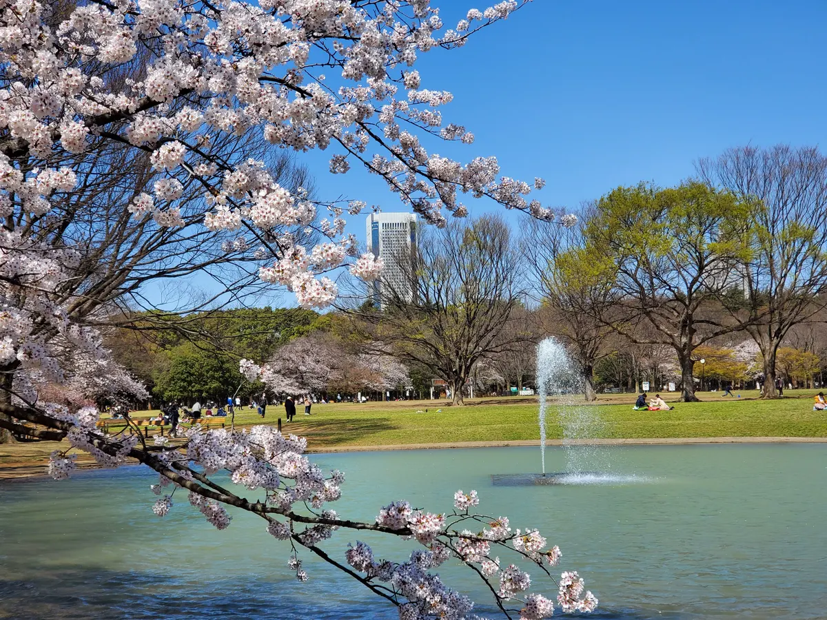Yoyogi Park
